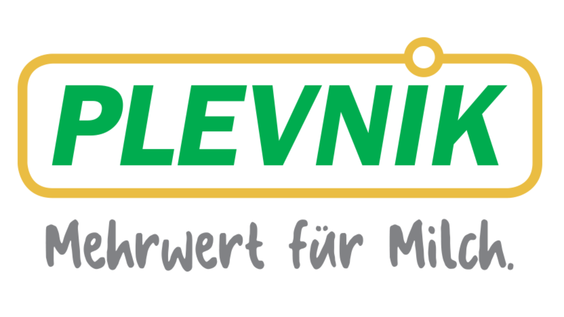 Vertriebs- und Servicepartner Plevnik